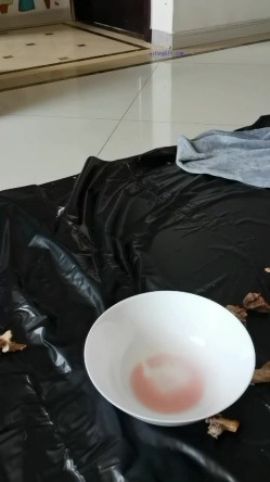 【极品流出 ️恋爱性陷阱】圈养调教大学母狗『二月』无下限性开发实录 完美曝光真实还原母狗成长变化 截图15