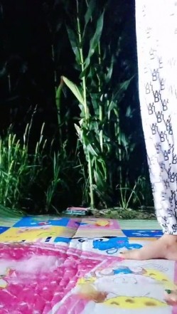 户外野战玉米地头，淫男荡女深夜户外点灯开草，极品大奶子让大哥先舔逼然后再口交大鸡巴，主动上位抽插浪叫 截图3