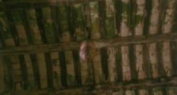 玉蒲团之偷情宝鉴.Sex.and.Zen.1991 截图7