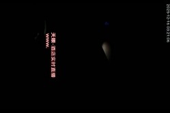 酒店直播偷拍 三人开房玩手机小伙走后胖哥迫不及待的和美女做爱 截图13