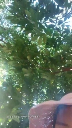 超大胆户外啪女王『美娜』勾搭骚男公园长凳口交 欲火焚身钻树林全程站炮无套后入 爆精内射太刺激 截图12