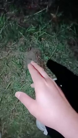 剧情《偷拍射老湿》 ️晚上网约性感豹纹内衣外围女野外车震各种姿势操 截图9