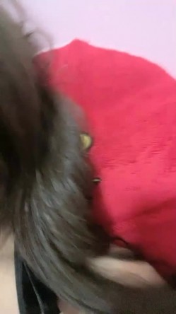 大眼睛新人漂亮妹子性感情趣装黑丝居家自慰，完美翘臀拨开内裤跳蛋塞逼，露出大白美乳揉搓，毛毛弄呻吟诱人 截图11