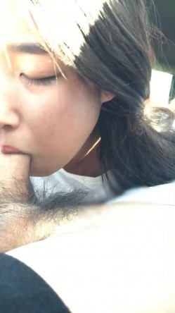 小有成就个体老板家外养漂亮美女大学生小情人周末开车到郊外玩车震搞的不尽兴又开房继续干妹子叫声超赞1080P原版 截图5
