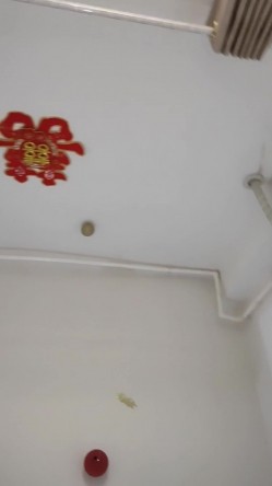 良家少妇下了班，出来幽会，衣服都没脱完就要先吃一会大鸡巴，迫不及待，太骚啦！ 截图15