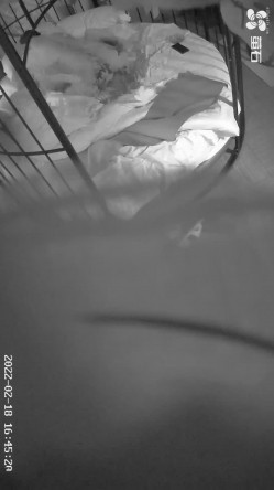 真实欣赏数对男女激情滚床单少女少妇各有各的优点大白屁股少妇穿的T裤真心惹火主动出击骚的一批 截图14