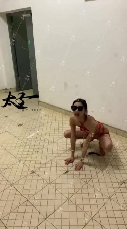 【重磅核弹】超高颜值车模女神【太子妃】SM调教露出啪啪 截图1
