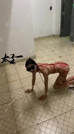 【重磅核弹】超高颜值车模女神【太子妃】SM调教露出啪啪 截图7