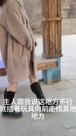 露出界天花板满级狂人！身材苗条性感网红【兔兔】私拍，学校公园商场各种场所人前露出翻屁眼露逼紫薇喷水 截图5