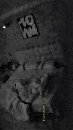 酒店针孔偷拍 ️戴口罩的长衫女被胖哥扑倒后翻来覆去打桩操 截图3