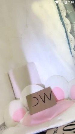 颜值最高的女神【陈晓晓】明星级别绿播转黄 截图14
