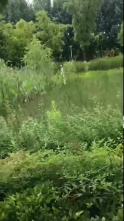 【终极调教 ️另类性爱】绿帽调教天花板『J神』最强私拍 ️翘美臀车窗外勾引路人被玩操潮喷 后入内射 截图6