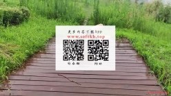 洋洋身着黑色套装肉色SW被日式捆绑戴口环TJ 截图13