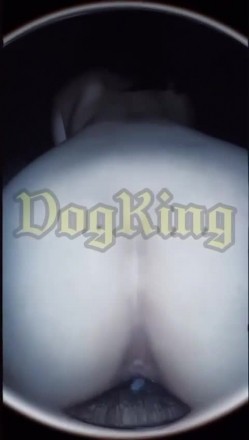 【推特 DOGKING】顶级大神约操各种00后反差婊 淫荡下贱骚母狗 截图4