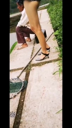 风筝断了人前露出超刺激露出,大妈大爷看的眼睛都直啦 截图5