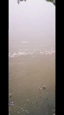风筝断了人前露出超刺激露出,大妈大爷看的眼睛都直啦 截图11