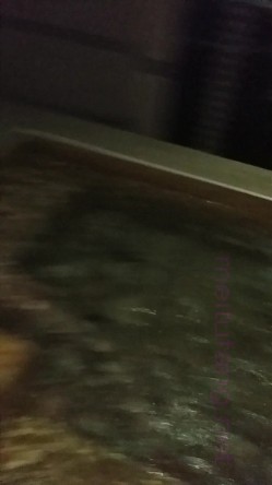 贵在真实！大神拿捏征服运输业老板千金美腿身材苗条车震酒店各种调教啪啪内射全程露脸国语对白 截图1