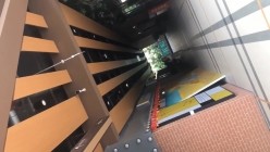 青春靓妹较多的商场女厕惊险偸拍，先拍露脸全身在进去拍逼近景特写，胆大心细 截图11