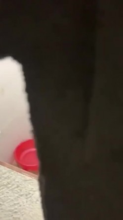 窗外偷拍小嫂子脱光衣服洗澡,竟然坐在地上用水对着逼冲洗,真是太不讲卫生了 截图6