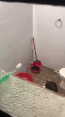 窗外偷拍小嫂子脱光衣服洗澡,竟然坐在地上用水对着逼冲洗,真是太不讲卫生了 截图8
