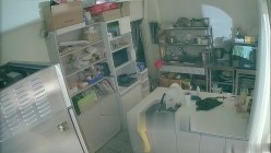 黑客破解摄像头偷拍 蛋糕店离异老板娘经常下班时间在后厨和男店员谈心勾引他们啪啪 截图14