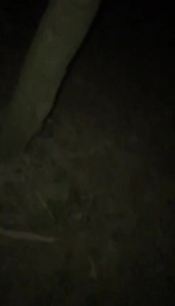 夜晚强奸，强拉小妹妹进小树林，强上。’啊啊，不要，救命，我怕，别杀我‘，别叫了，30秒射男，丢脸！ 截图3