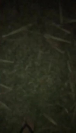 夜晚强奸，强拉小妹妹进小树林，强上。’啊啊，不要，救命，我怕，别杀我‘，别叫了，30秒射男，丢脸！ 截图9