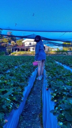 顶级露脸小母狗【Lunana】推特5000元订阅福利，露出喝尿调教啪啪，各种花样，玩花了 截图2
