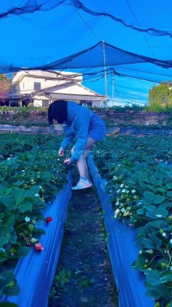 顶级露脸小母狗【Lunana】推特5000元订阅福利，露出喝尿调教啪啪，各种花样，玩花了 截图8