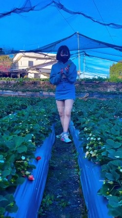 顶级露脸小母狗【Lunana】推特5000元订阅福利，露出喝尿调教啪啪，各种花样，玩花了 截图9