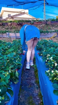 顶级露脸小母狗【Lunana】推特5000元订阅福利，露出喝尿调教啪啪，各种花样，玩花了 截图14