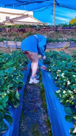 顶级露脸小母狗【Lunana】推特5000元订阅福利，露出喝尿调教啪啪，各种花样，玩花了 截图16