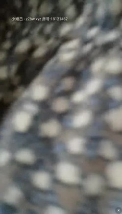 最牛老师【小橙子】塞跳蛋站学生后面撩起裙子，网友兴奋狂刷礼物震动，卧槽刺激，在讲台震到湿禁，地板全是丝袜流下的淫水！ 截图13