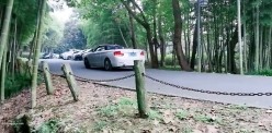 大神玩的是真花，【苏城主（苏E夫妻）】太爽了，多P，3P，交友换妻，老婆长得也相当好看 截图14