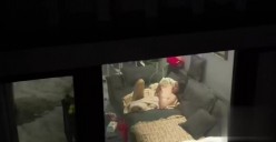 晚上放飞无人机偷拍 高层住宅的风光意外拍到白领姐姐裸体在家喂狗看电视太激动炸机了损失惨重 截图3