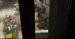 晚上放飞无人机偷拍 高层住宅的风光意外拍到白领姐姐裸体在家喂狗看电视太激动炸机了损失惨重 截图11
