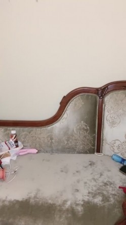 轻度M调教圈最有名气女神-灵灵【树屋轻调】终下海大尺度开播，妖艳漂亮 身材顶级 完美尤物 截图10