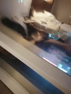 高颜值S级身材反差拜金网红美女空姐冰儿兼职模特被有钱老板包养自拍各种不雅视频 截图4