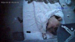 酒店上帝偷拍白肤长腿风衣美女被健壮男趴身上日逼 截图15