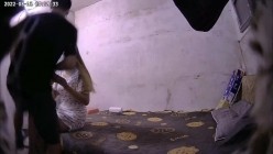 城中村房东出租屋偷装摄像头监控偷拍 3 两个合租房的站街女被各种嫖客操双视角其中一个较漂亮 截图1
