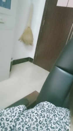 办公室里的骚母狗，上班期间闲的发骚脱了裙子刺激狼友，揉奶玩逼看特写，听狼友指挥抠逼浪叫，精彩不要错过 截图16