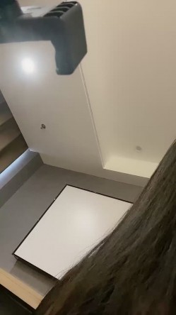 重磅！我的女神回来了~【奶球】无套内射~口爆~爽死了~！红极一时的女神回归，骚到爆炸~ 截图1