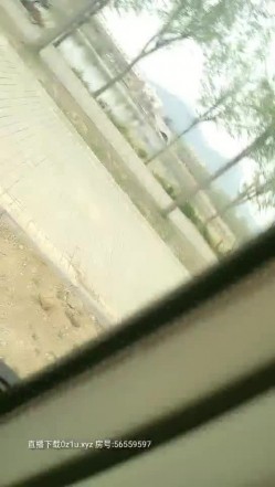 疯狂小夫妻就是喜欢玩刺激，在公园里玩车震，外面人来人往车内激情不断，全程露脸口交大鸡巴激情爆草射逼上 截图13