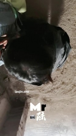 魔都一个私房摄影大神，【Mr陆】，风格唯美，拍了多个舞蹈生，模特，空姐，极品美乳 截图12