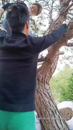 【金牌小可】小哥户外小树林激情啪啪，树上后入骑乘大力猛操非常诱人 截图7