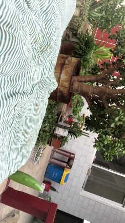 极度淫荡母狗自己在农村园中重口味自慰，先尿尿在便便自己还品尝 截图12