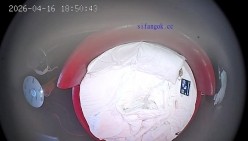酒店情趣圆床偷拍清纯女孩换上黑丝情趣内衣让帅气男友操穴 截图4