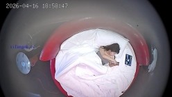 酒店情趣圆床偷拍清纯女孩换上黑丝情趣内衣让帅气男友操穴 截图5