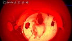 酒店情趣圆床偷拍清纯女孩换上黑丝情趣内衣让帅气男友操穴 截图15