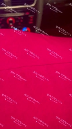 富豪包养极品空姐尤物「月野兔mmy」全量推特资源 肛交、3P、献妻、野外露出、车震 截图2